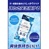 GATSBY Facial Paper Ice Type (Refreshing Ice Cool) Men's Face