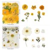 Buzidao Dried Pressed Flowers, 80Pcs Real Natural Pressed Flowers for