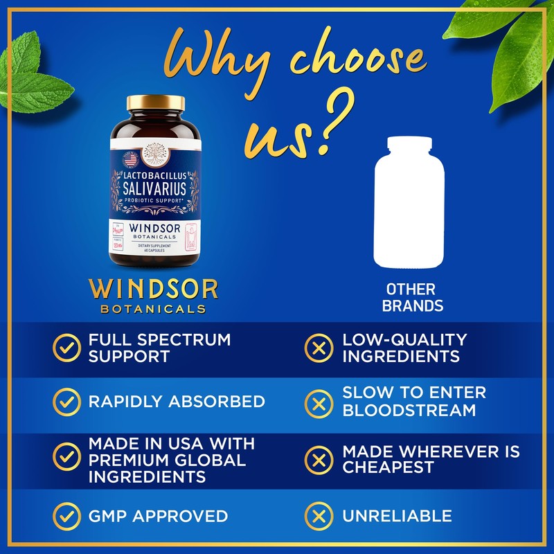 Lactobacillus Salivarius Probiotic - 24bn CFU L Salivarius Dental Probiotics