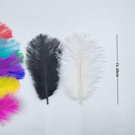 Natural Colorful Ostrich Feathers 10pcs 6-8 Inche (15-20cm), Multicolor Ostrich Large Feathers for Dream Wedding Centrepieces, Party Embellishments, DIY Crafts, Home Decorations (Colorful, 6-8inch)
