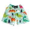 Men's Swim Trunks with Mesh Lining Cartoon Dinosaurs Board Shorts