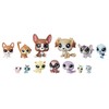 Littlest Pet Shop Mischief Pals
