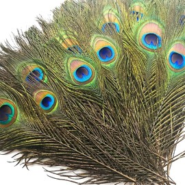50pcs Peacock Feather Natural in Bulk 10-12 inch 25-30cm for Craft Vase Wedding Home Party Christmas Day Decoration Peacock Eye Feathers