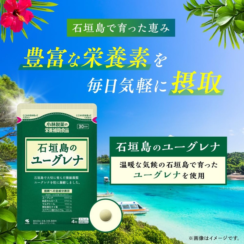小林製薬の栄養補助食品 [ 公式 ] 石垣島のユーグレナ ミドリムシ サプリメント 【食事が偏りがちな中高年の方に】 [ 栄養補助食品
