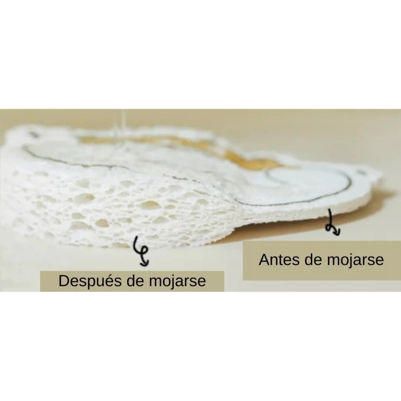 Estuchelandia 4 Esponjas Comprimida Limpieza Baño Platos Lavaplatos Cocina