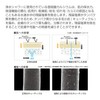 SANEI PS7964-80XA-MW2-EC Water Purification Switching Shower, Residual Chlorine Removal, Includes