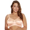 Elomi Women's Cate Soft Cup Bra, Latte, 42G
