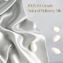 ZIMASILK 100% Mulberry Silk Pillowcase for Hair and Skin Health, Both Sides 19 Momme Premium Grade 6A Silk, Soft & Smooth, 600 Thread Count, with Hidden Zipper, 1pc (Standard 50x75 cm, Light Grey)