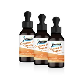 Take 3, Number 2 Action Liposomal Curcuma & Ginger Drops High Dose - (450,000 mg in 3 Bottles) 5000 mg Curcuma & Ginger per Daily Dose - MCT Oil - High Bioavailability