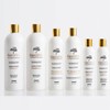 Deluxe Gold Keratin Protein Hair-Straightening One-Day Treatment 6-Piece System