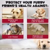 Oimmal Liquid Iron for Dogs Vitamin C & B12,Supports Anemia,