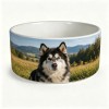 Porcelain Pet Vessel Bowl Ceramic Dog Dish 15cm 18cm Sturdy