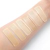 The Face Shop fmgt Ink Lasting Foundation Healthy Glow 35