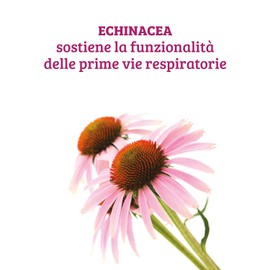 Colours of Life Echinacea Angustifolia e Purpurea - Integratore di Echinacea - Sostiene la Funzionalità delle Prime Vie Respiratorie - Vegano, 60 Capsule