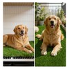 HEBE Artificial Grass Turf Rug 3'x5', Fake Grass Pee Pad