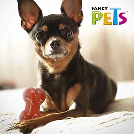 Fancy Pets Juguete Hueso Mini Xtreme para Perros Resistente y Flotante 9 cm