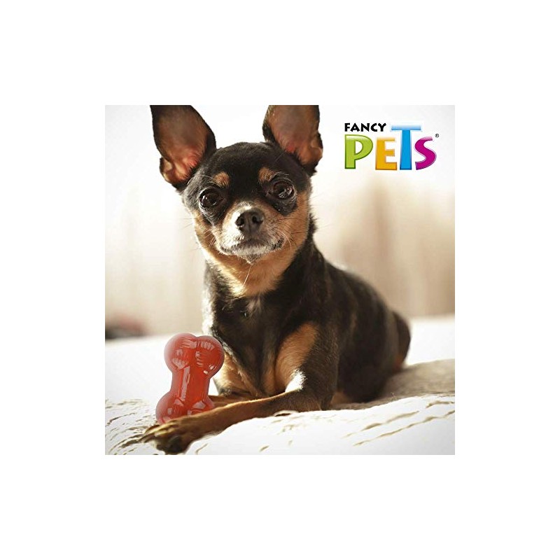 Fancy Pets Juguete Hueso Mini Xtreme para Perros Resistente y
