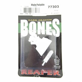 Male Paladin Miniature 25mm Heroic Scale Figure Dark Heaven Bones Reaper Miniatures