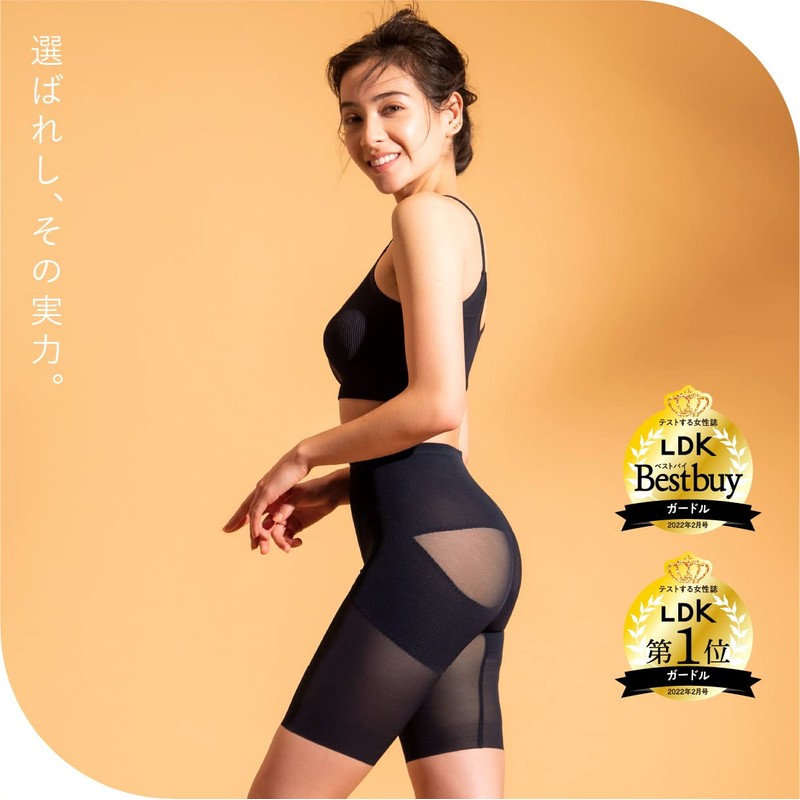 Style Up Regular Girdle (Sante Labo Pelvic Girdle, Regular Purpose