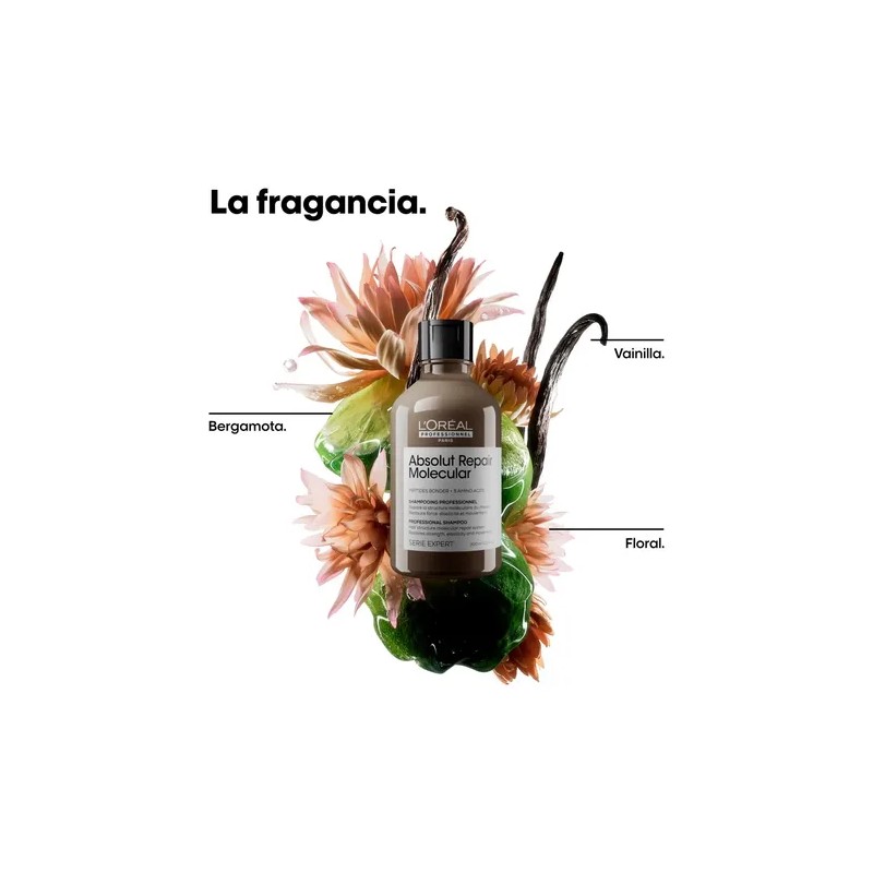 Shampoo L'Oréal Professionnel Absolut Repair Molecular 300ml