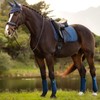 LeMieux ProSport Suede Dressage Square - Spruce