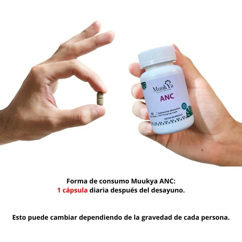Muukya ANC: ¡Potencia tu Mente por 3 Meses! Soporte Cognitivo