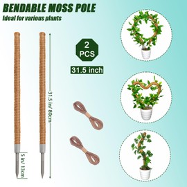 Moss Poles, 4 Pack 31.5inch Moss Poles for Climbing Plants Monstera, Large Monstera Plant Support, Bendable Moss Pole for Plants Monstera, Plant Sticks Support for Indoor Plants