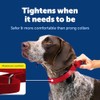 PetSafe Martingale Collar 1 Large, Red