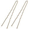 Lady Jayne Brown Hair Pins 25 Pack