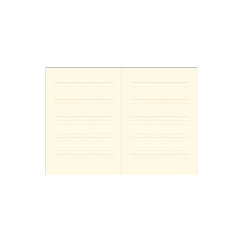 Palladian Journal (Diary, Notebook)