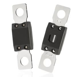 Scelrin 2Pcs 250A MEGA/AMG Fuse, High Current Bolt-on Fuse for Cars, Trucks, Construction Vehicles, Buses, Caravans Cars, Boats (250A)