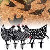 5Pcs Chicken Stakes Set Acrylic Animal Shape Statues Decoration for