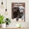Labrador Welpen (Wandkalender 2025 DIN A4 hoch), CALVENDO Monatskalender [Calendar]