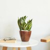 2-Pack 10-Inch Dark Wood Plastic Self-Watering Flower Pots & Planterscolor: