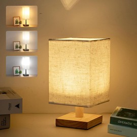 AnnuoYi Bedside Table Lamp,Led Bedrooms Lamps,3 Way Dimmable Touch Bedside Lamp,USB Desk Reading Lamp Suitable for Rooms, Living Rooms, Offices, Dormitories