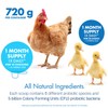 HealthyGut Probiotics for Chickens & Poultry, All-Natural Digestive System Dietary