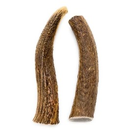 Elk Antlers for Dogs, Premium Grade-A Dog Chews, Long Lasting Dog Bones for Aggressive Chewers, Product of The USA (2-Pack, 5-6")