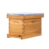 ThxBees 5 Frame Nuc Beehive Kit, Complete Bee Hive Nuc