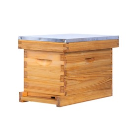 ThxBees 5 Frame Nuc Beehive Kit, Complete Bee Hive Nuc Box Coated with Beeswax Includes Beehive Frames and Waxed Foundations for Beekeeping (Unassembled)