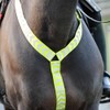 Equetech Vision Hi-Viz Horse or Pony Neckband Breastplate, Reflective, Yellow