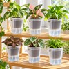 15-Pack Self-Watering Plant Pots for Seedlings and Cuttings – Translucent