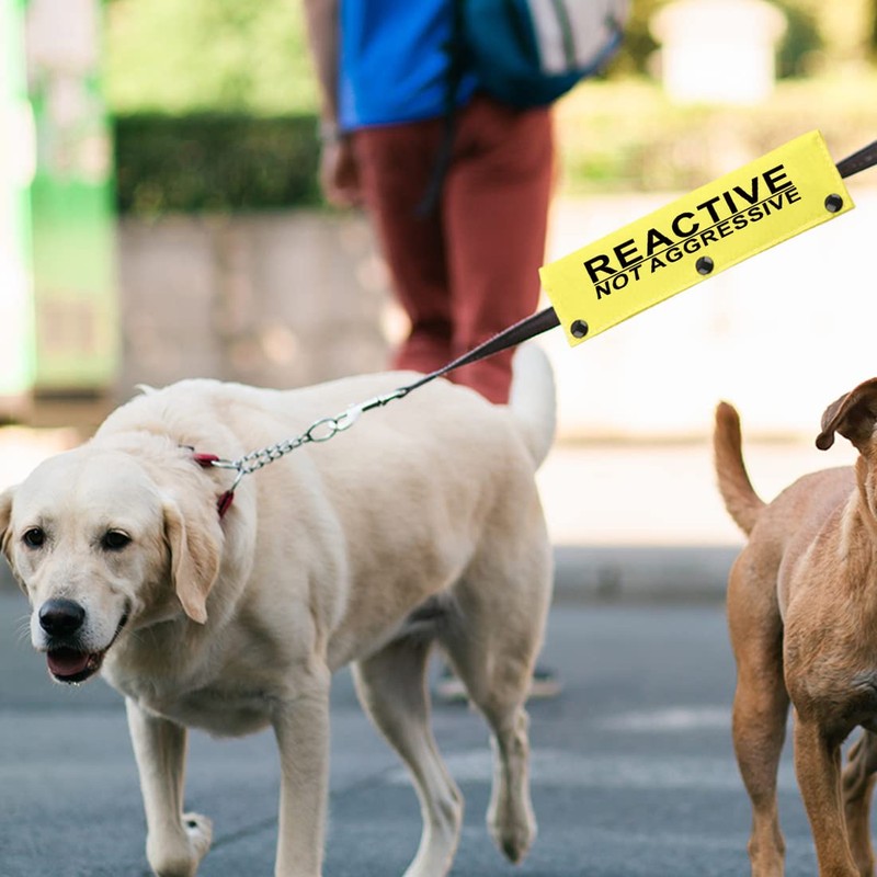 Reactive Not Aggressive Do Not Pet Dog Leash Sleeve Reactive