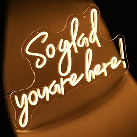 Xixkilly So Glad You Are Here Neon Sign Dimmable Wedding Welcome Neon Lights for Wall Decor Bussines Light Up Sign for Wedding Birthday Decorations Gift