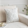 SHITURRE Christmas Snowflake Decorative Throw Pillow Covers Set of 2