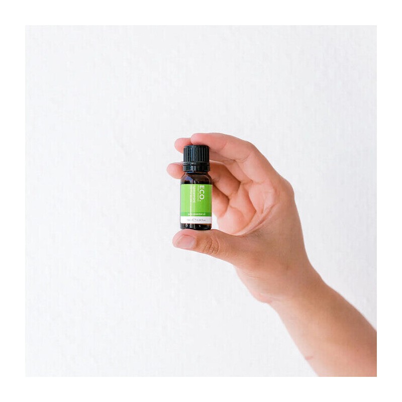 ECO. Modern Essentials Spearmint Pure Essential Oil, 10ml