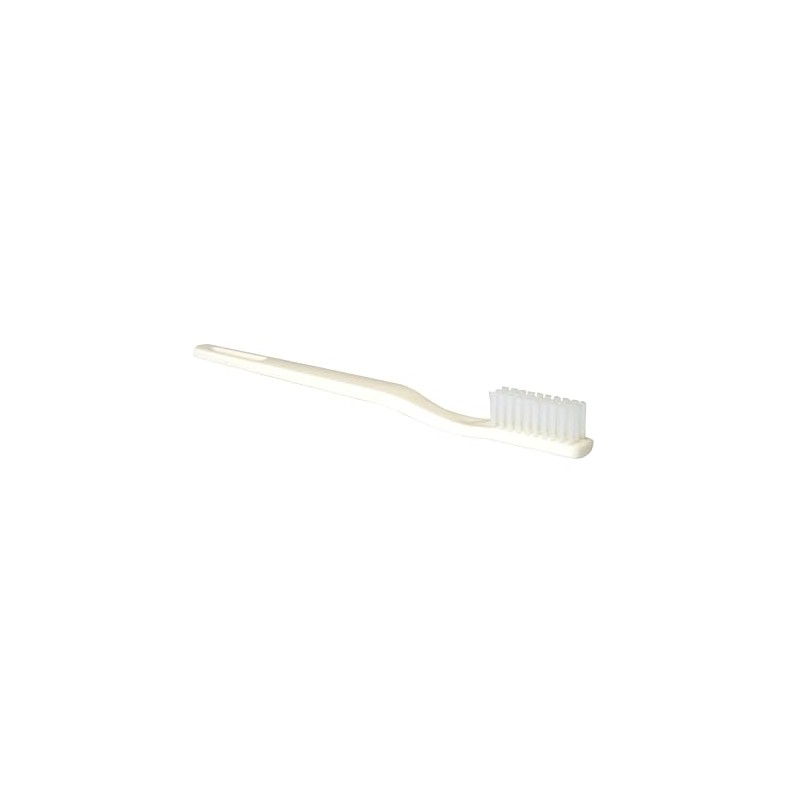 Box 24 Disposable Toothbrushes - Individually Wrapped