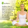 Zenrenu Immunity Quercetin 700 mg Zinc Vitamin C Vitamin D