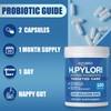 H.Pylori Support Probiotic 100 Billion CFU - Lactobacillus Reuteri, Mastic