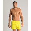 arena Baywayx Men's Beach and Pool Swimming Trunks Quick Dry