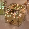 2 in 1 Tulip Cube Mirror Lamp LED Decorative Night